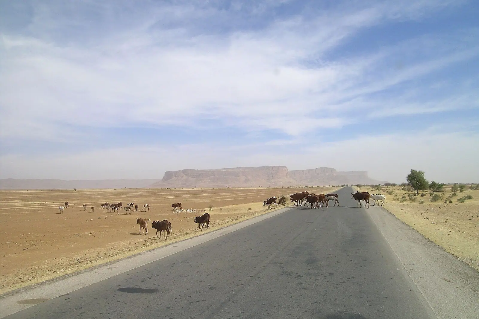 Paved road crossing the Mauritanian desert